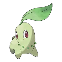 Chikorita