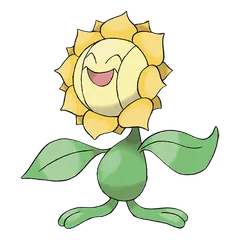 Sunflora