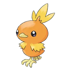 Torchic