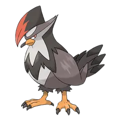Staraptor