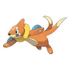 Buizel