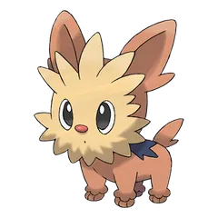 Lillipup