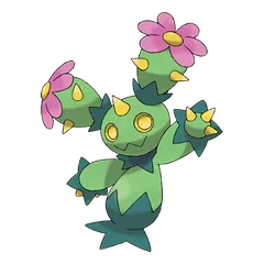 Maractus