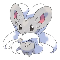 Cinccino
