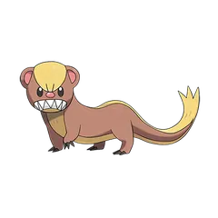 Yungoos