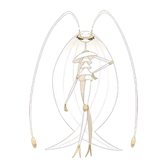 Pheromosa