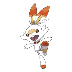 Scorbunny