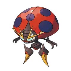 Orbeetle